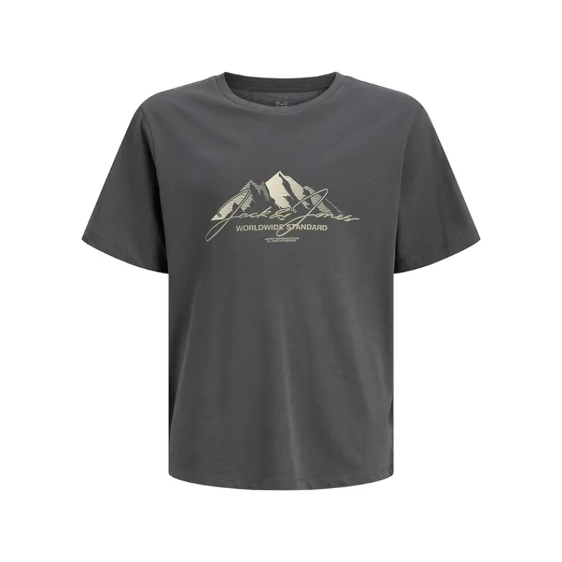 New JACK & JONES Drenge Bjerg To Pak T shirts Silver Mink/Asphalt
