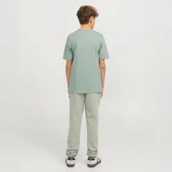 JACK & JONES Drenge Logo T-Shirt Iceberg Grøn