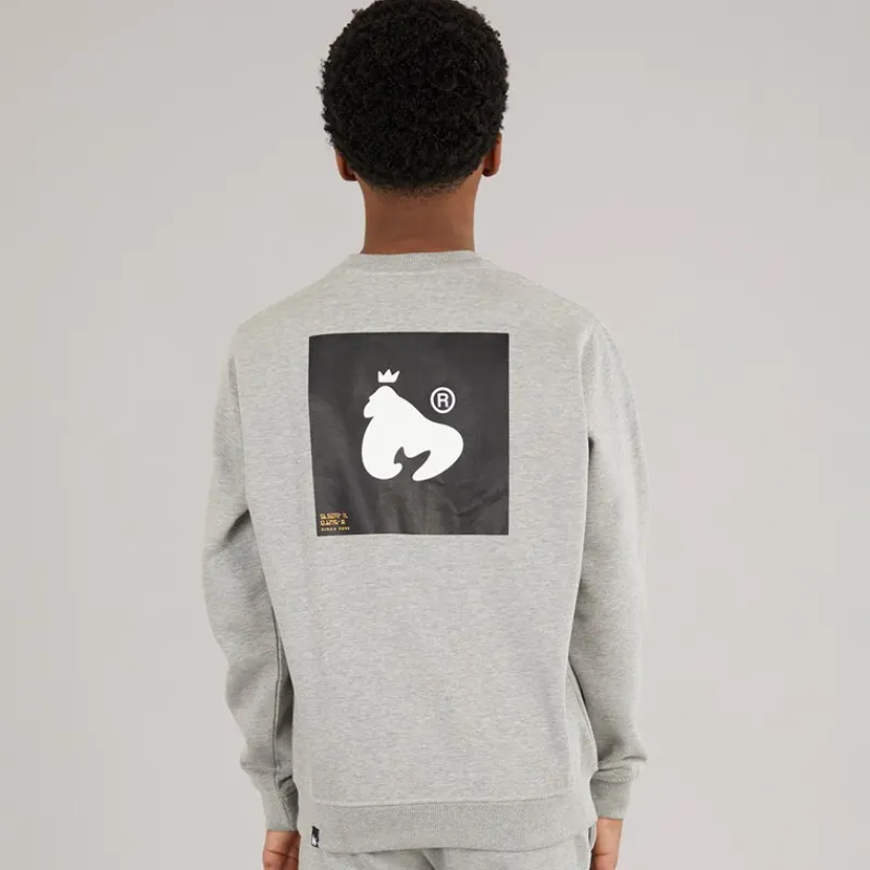 Sale Money Drenge Relex Crew Sweatshirt Grå