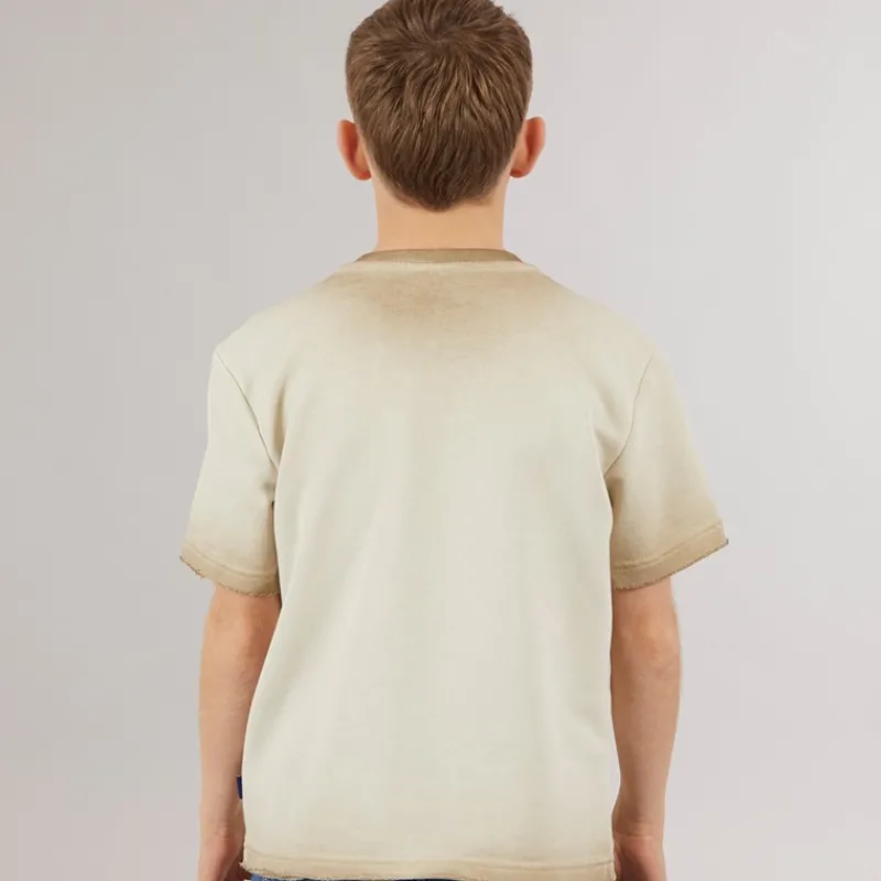 Sale ONLY & SONS Drenge Tilmo Liv T-shirt Chinchilla