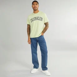 Hot Calvin Klein Jeans Herre Curve Varsity Log T-Shirt Aloe Wash