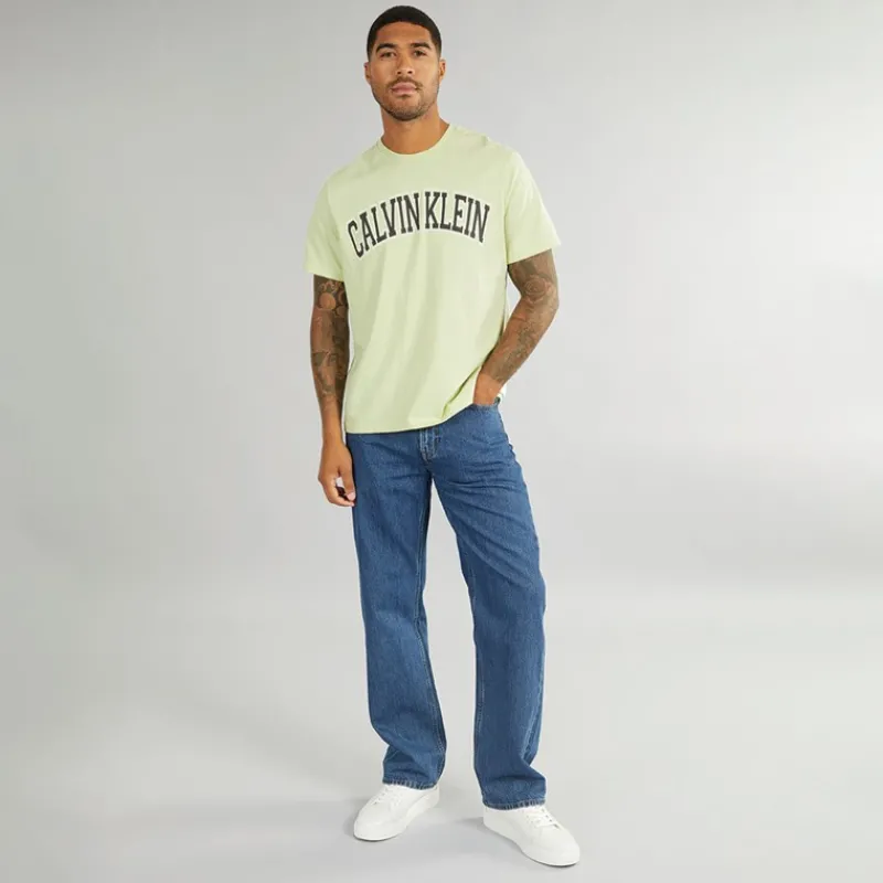Hot Calvin Klein Jeans Herre Curve Varsity Log T-Shirt Aloe Wash