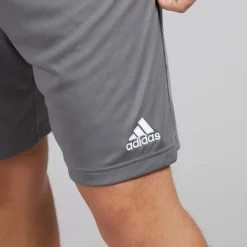 Outlet adidas Herre Entrada 22 Shorts Team Grey Four Grå