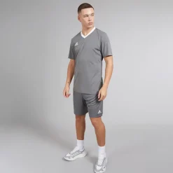 Outlet adidas Herre Entrada 22 Shorts Team Grey Four Grå