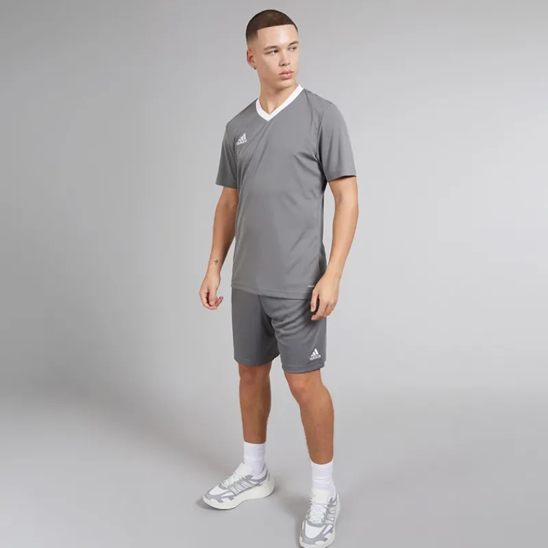 Outlet adidas Herre Entrada 22 Shorts Team Grey Four Grå