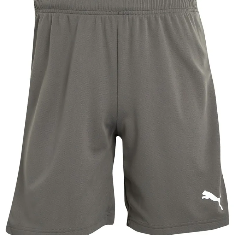 Discount Puma Herre teamRISE Sport træningsshorts Grå Grå