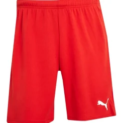 Sale Puma Herre teamRISE Sport træningsshorts Rød Rød