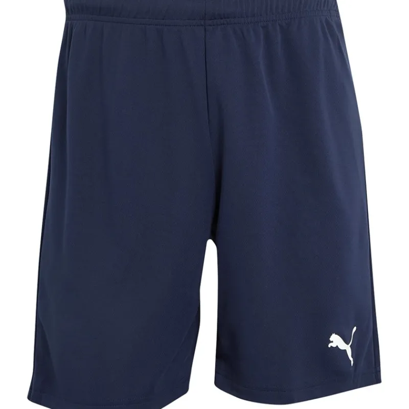 Clearance Puma Herre teamRISE Sport træningsshorts Blå Blå